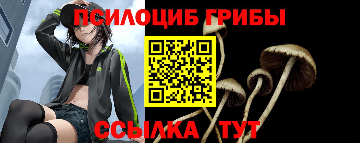Псилоцибиновые грибы Magic Shrooms  Галлюциногенные грибы мицелий  Приморско-Ахтарск  Вход с VPN 